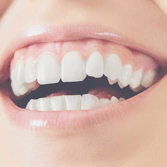 periodoncia